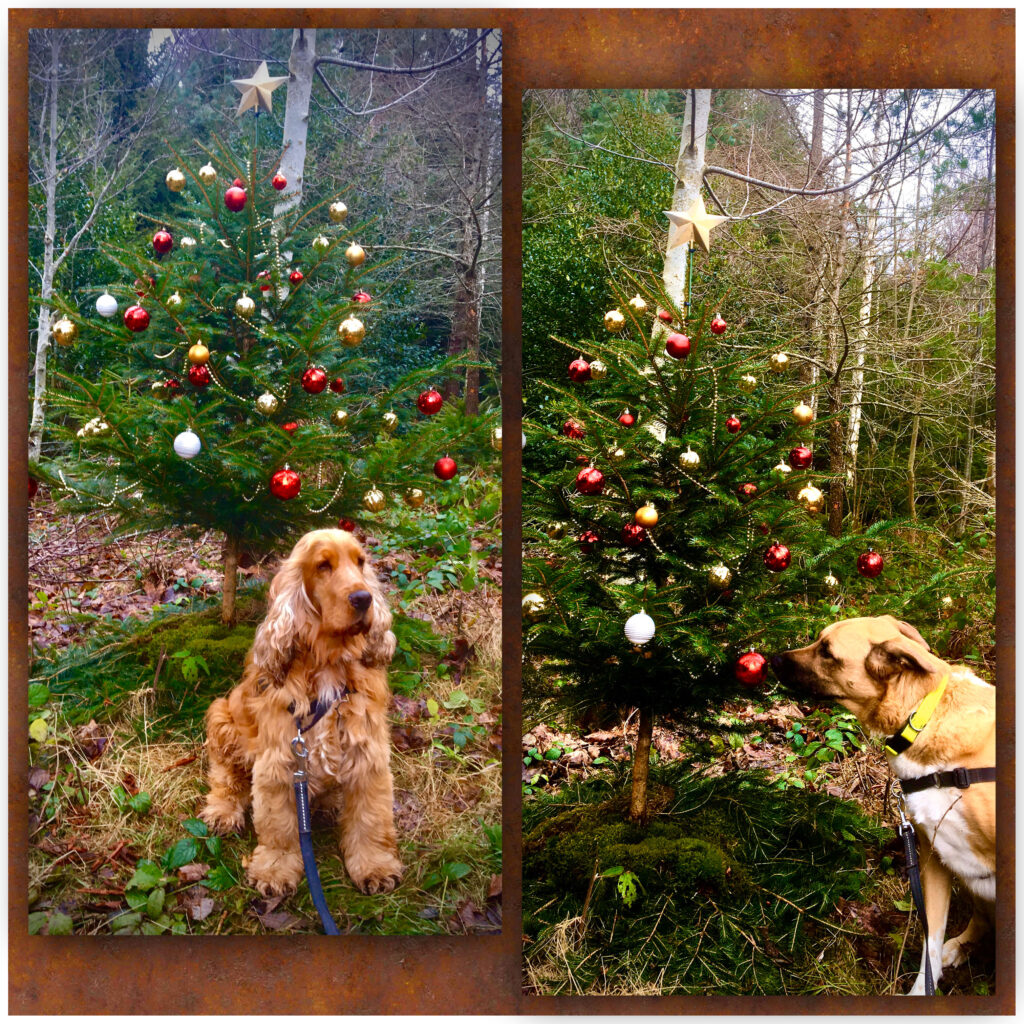 Hunde mit Weihnachtsbaum
