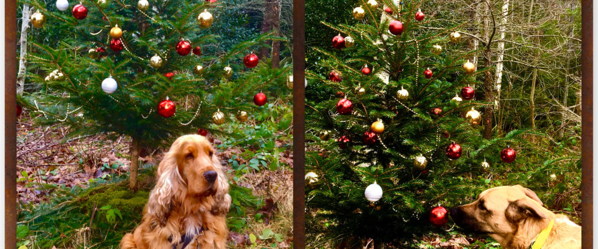 Hunde mit Weihnachtsbaum